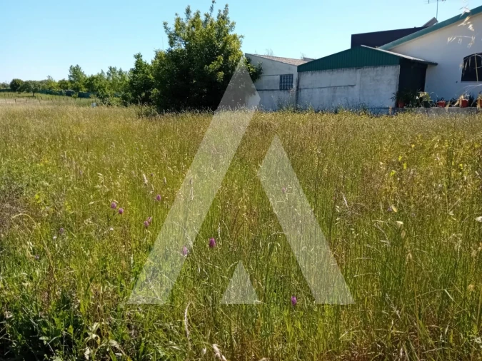 Terreno para Venda em Mealhada, Ventosa do Bairro e Antes Foto 6