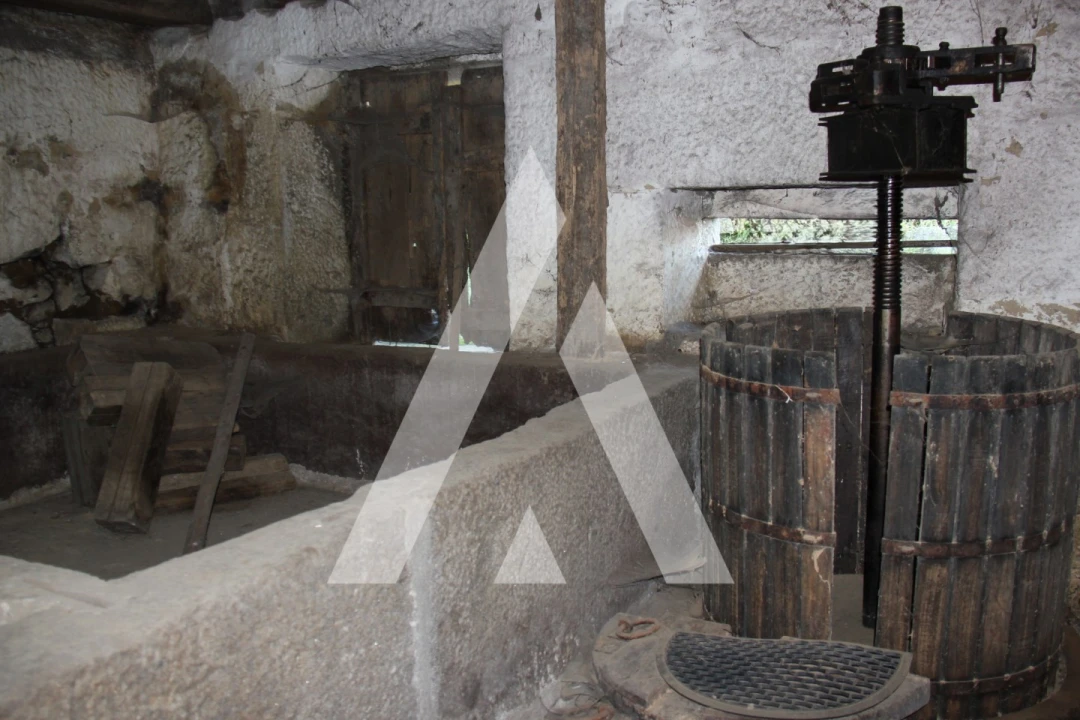 Quinta T6 para Venda em Airão Santa Maria, Airão São João e Vermil Foto 21