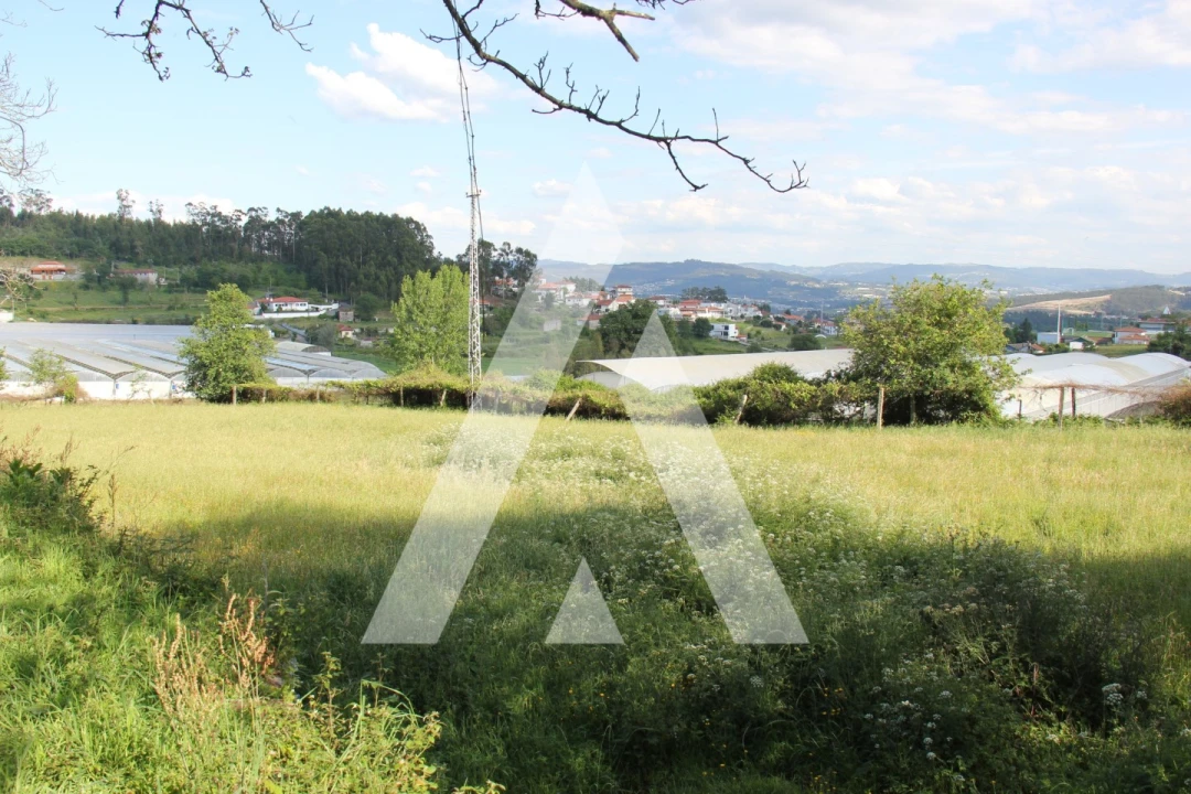 Quinta T6 para Venda em Airão Santa Maria, Airão São João e Vermil Foto 27