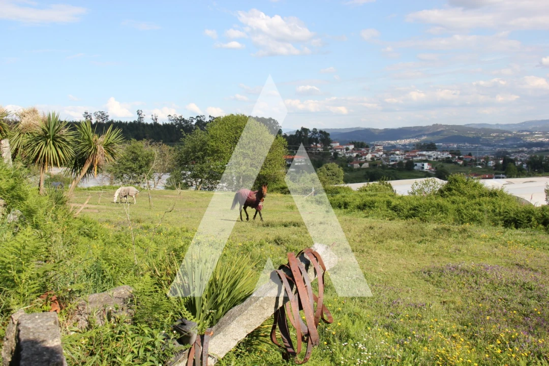 Quinta T6 para Venda em Airão Santa Maria, Airão São João e Vermil Foto 26