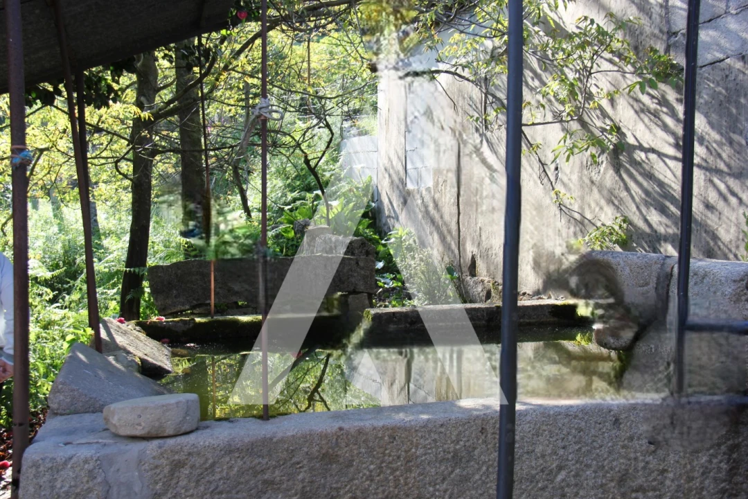 Quinta T6 para Venda em Airão Santa Maria, Airão São João e Vermil Foto 22