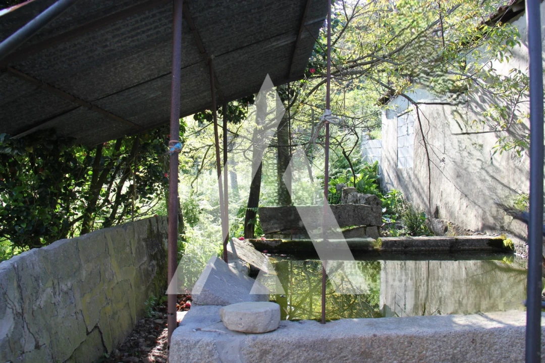 Quinta T6 para Venda em Airão Santa Maria, Airão São João e Vermil Foto 23