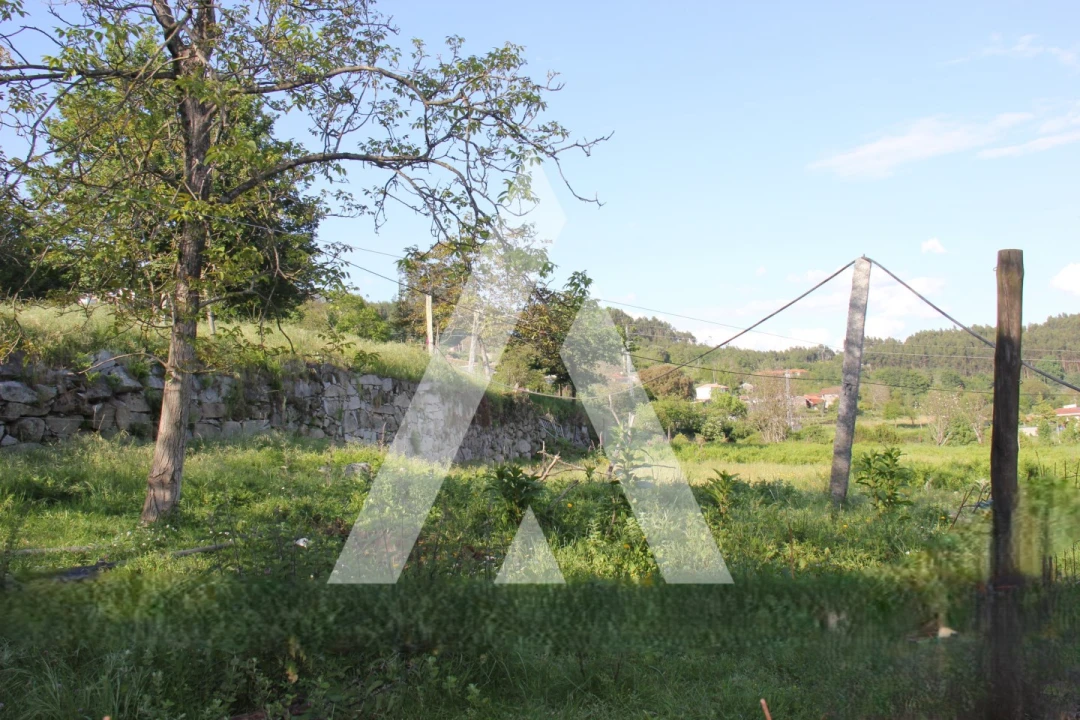 Quinta T6 para Venda em Airão Santa Maria, Airão São João e Vermil Foto 33