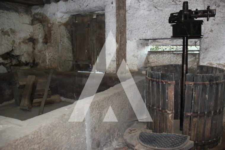 Quinta T6 para Venda em Airão Santa Maria, Airão São João e Vermil Foto 21