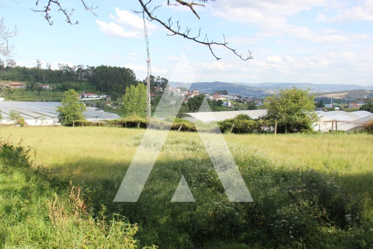 Quinta T6 para Venda em Airão Santa Maria, Airão São João e Vermil Foto 27