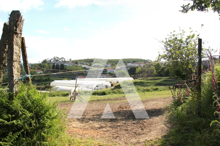 Quinta T6 para Venda em Airão Santa Maria, Airão São João e Vermil Foto 29
