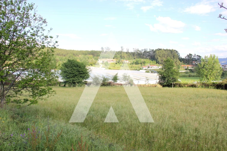 Quinta T6 para Venda em Airão Santa Maria, Airão São João e Vermil Foto 30
