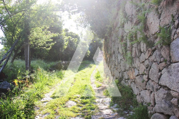 Quinta T6 para Venda em Airão Santa Maria, Airão São João e Vermil Foto 24