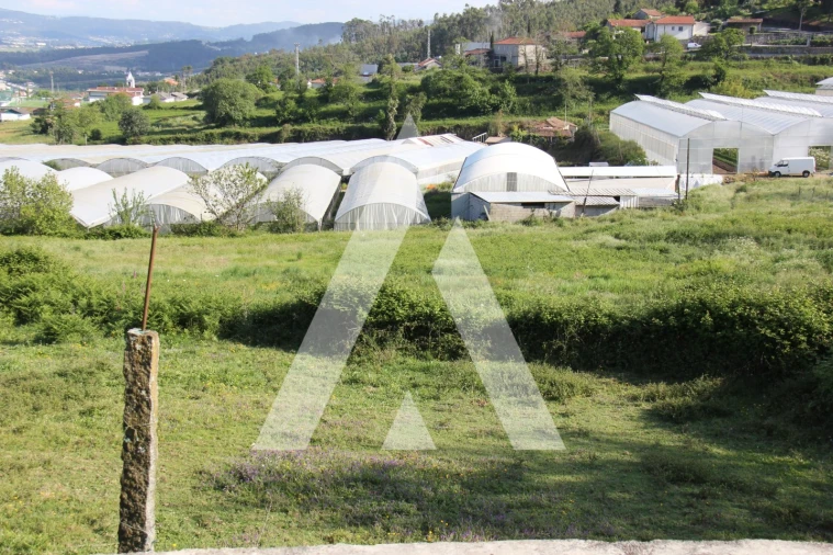 Quinta T6 para Venda em Airão Santa Maria, Airão São João e Vermil Foto 28