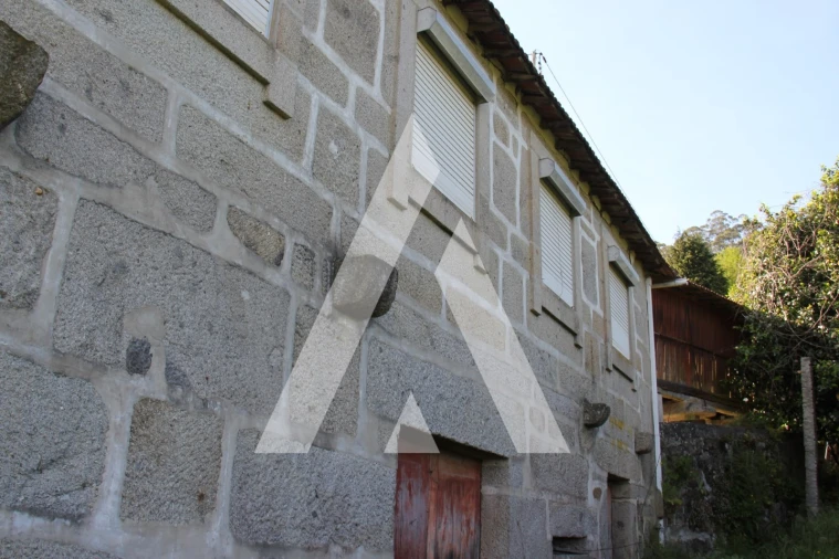 Quinta T6 para Venda em Airão Santa Maria, Airão São João e Vermil Foto 3