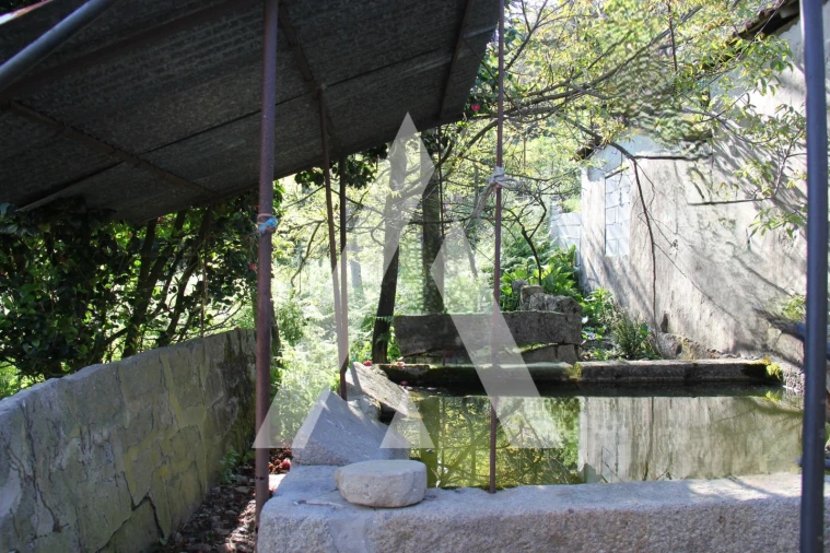 Quinta T6 para Venda em Airão Santa Maria, Airão São João e Vermil Foto 23