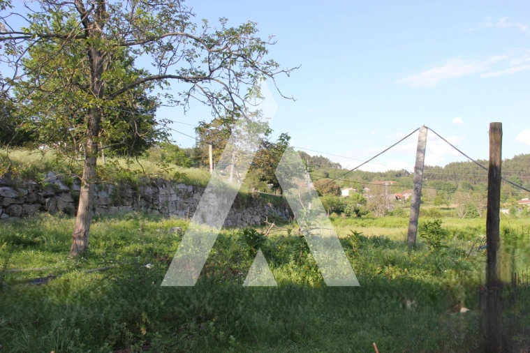 Quinta T6 para Venda em Airão Santa Maria, Airão São João e Vermil Foto 33