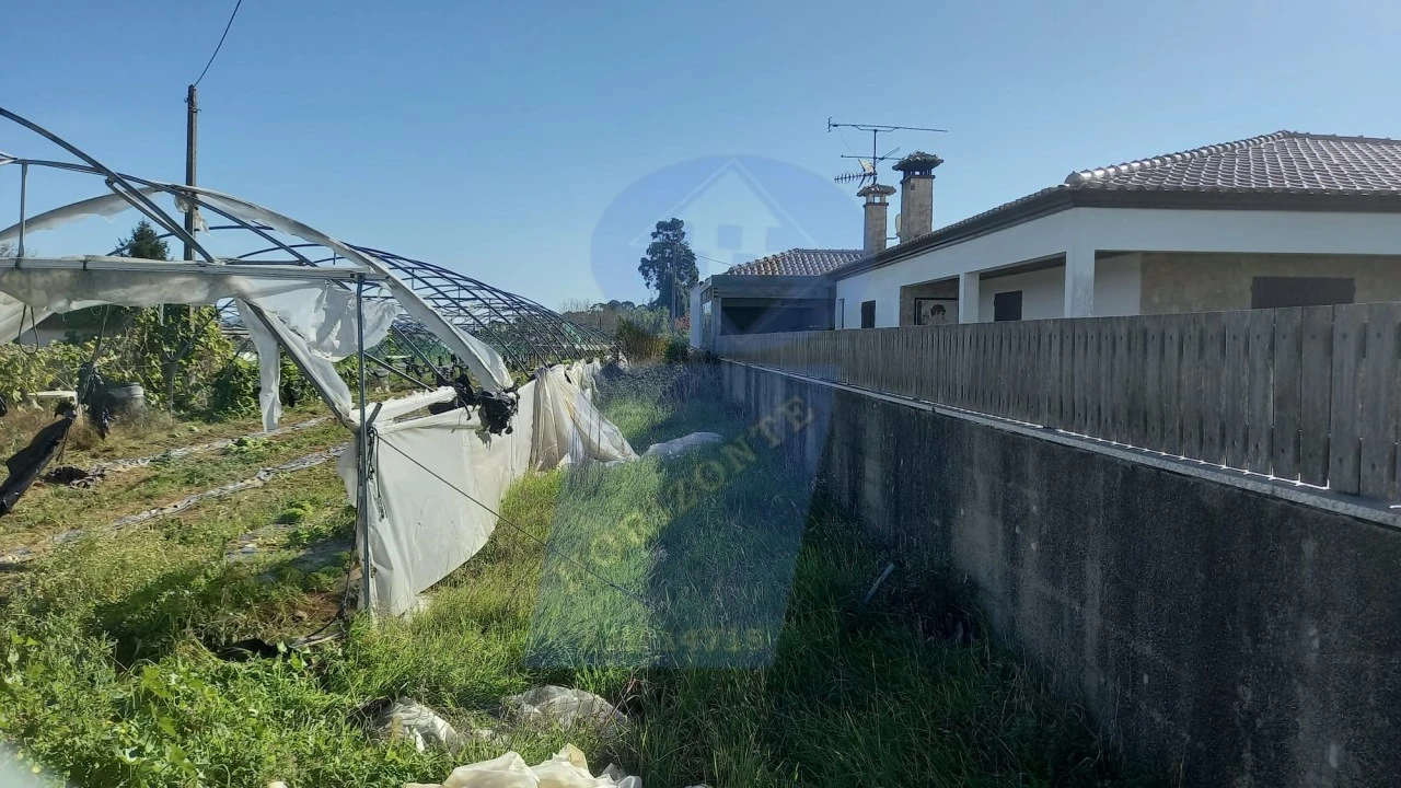 Terreno para Venda em Oiã Foto 5