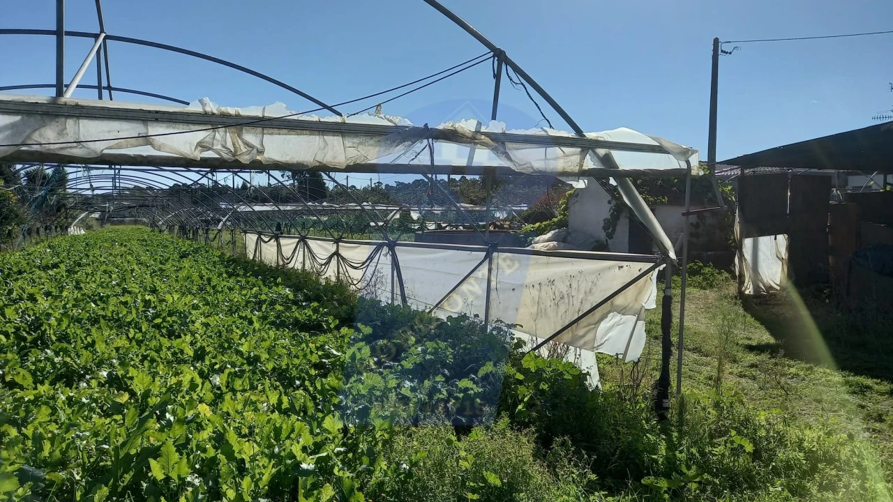 Terreno para Venda em Oiã Foto 6