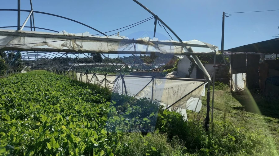 Terreno para Venda em Oiã Foto 6