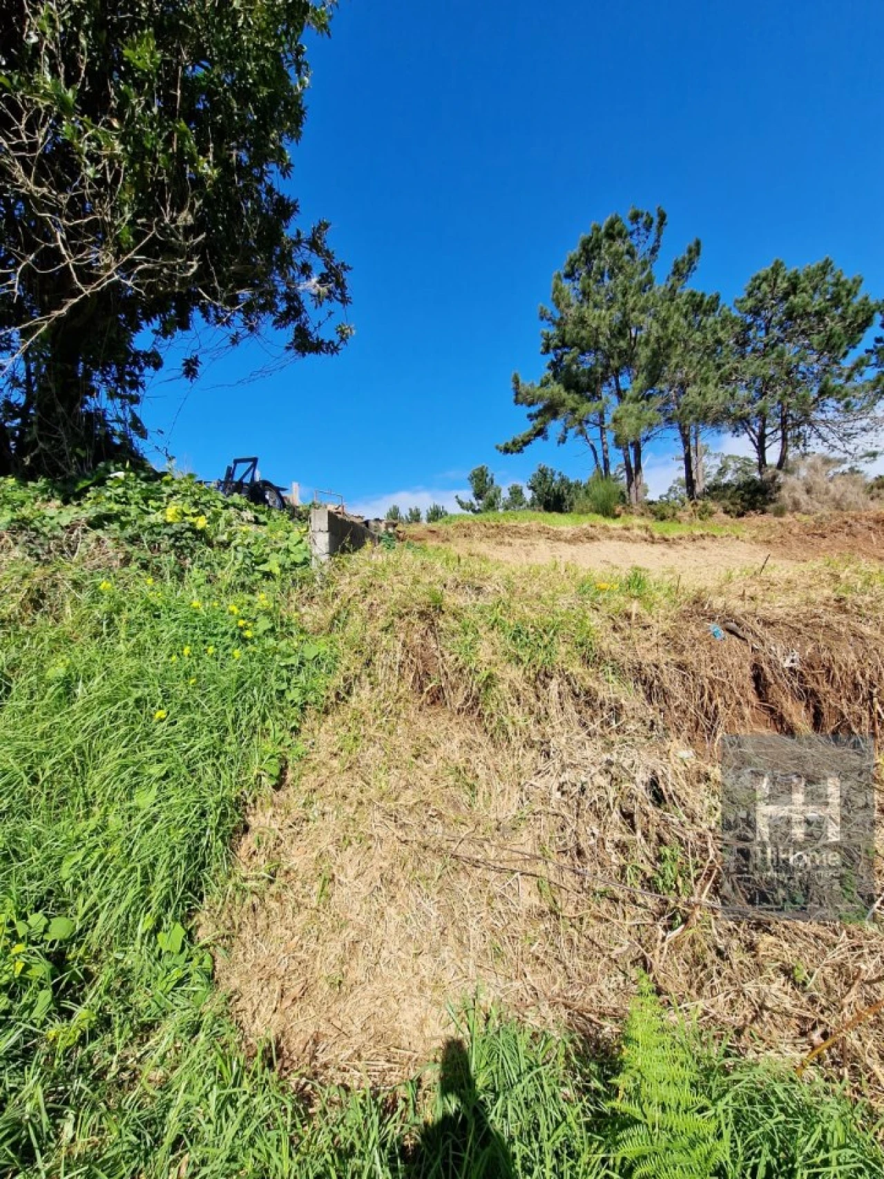 Terreno para Venda em Fajã da Ovelha Foto 20
