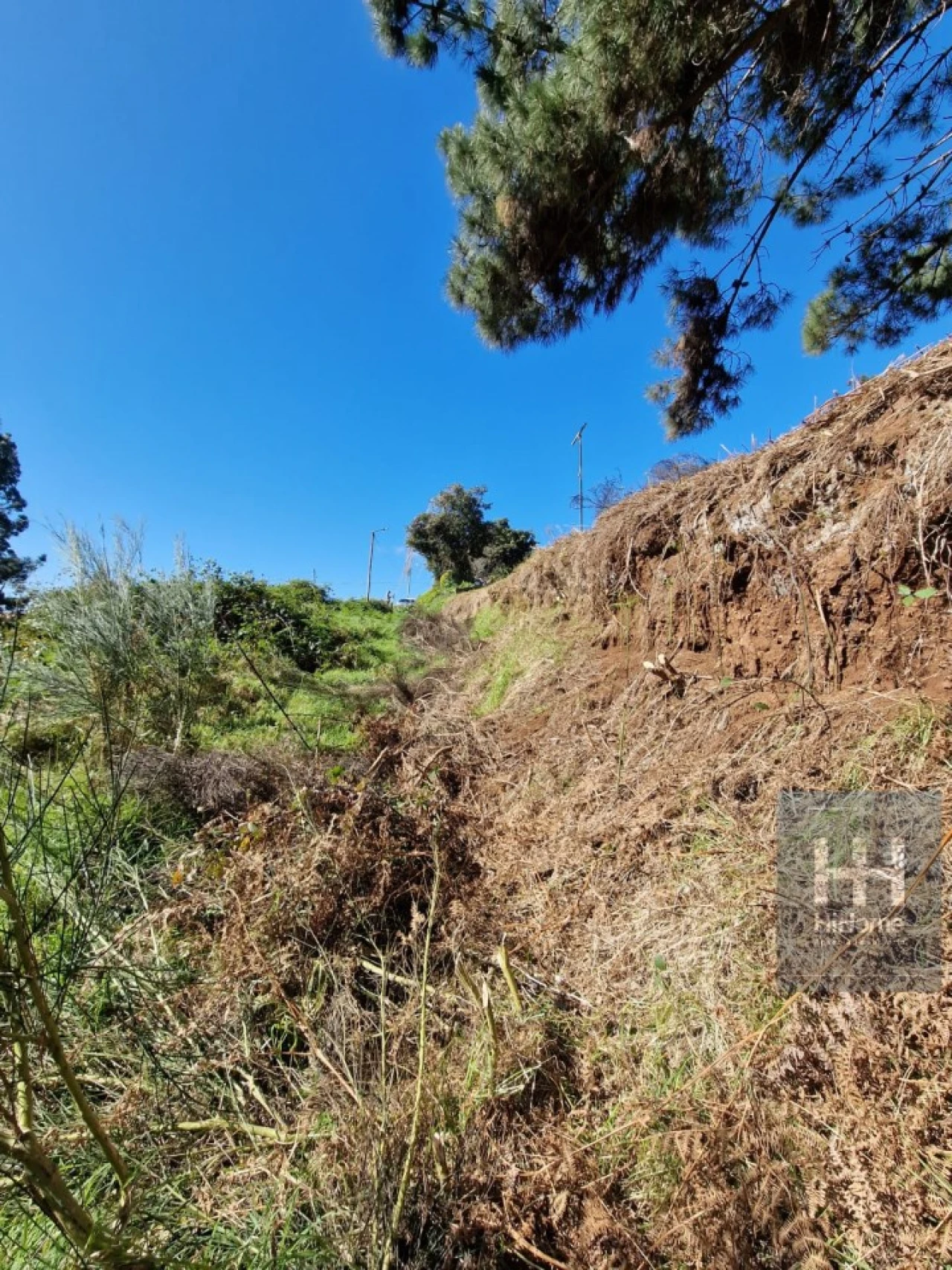 Terreno para Venda em Fajã da Ovelha Foto 28