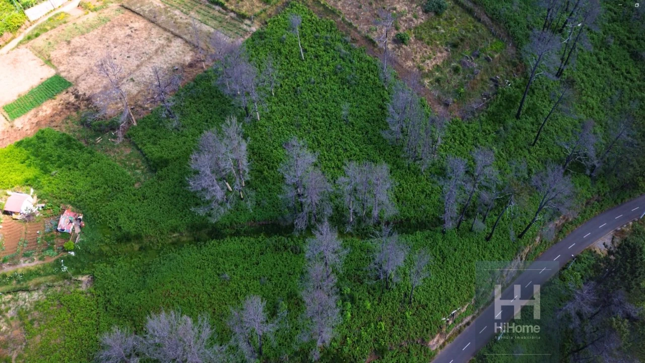 Terreno para Venda em Fajã da Ovelha Foto 11