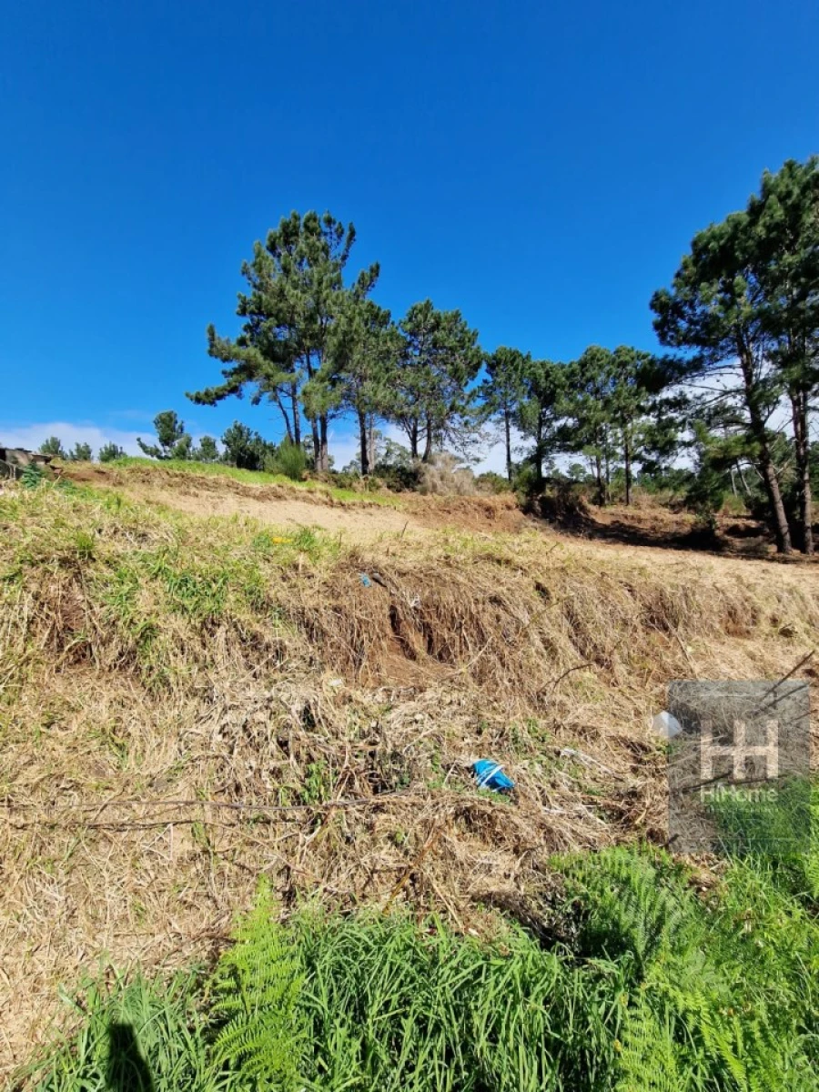 Terreno para Venda em Fajã da Ovelha Foto 19