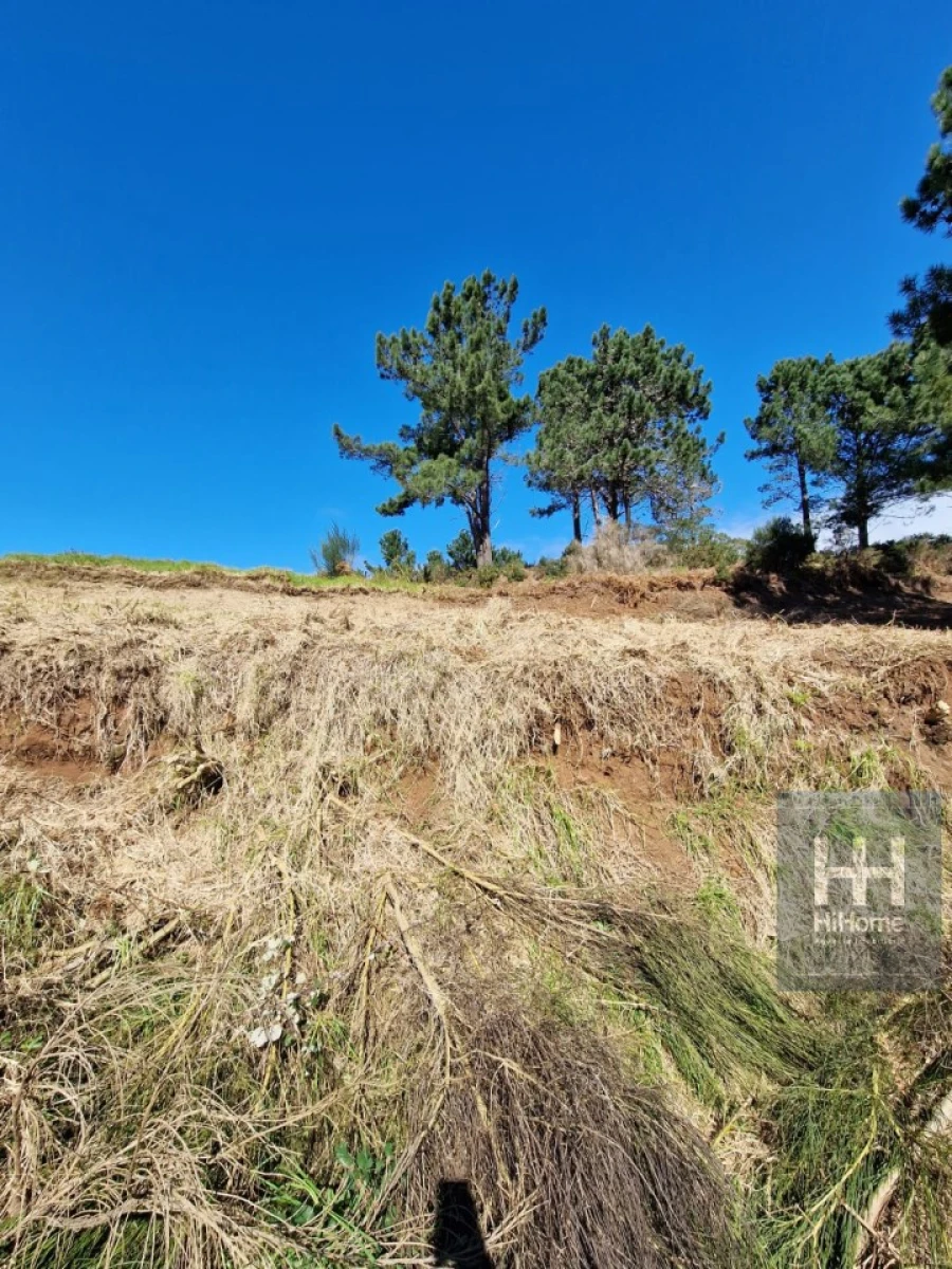 Terreno para Venda em Fajã da Ovelha Foto 22