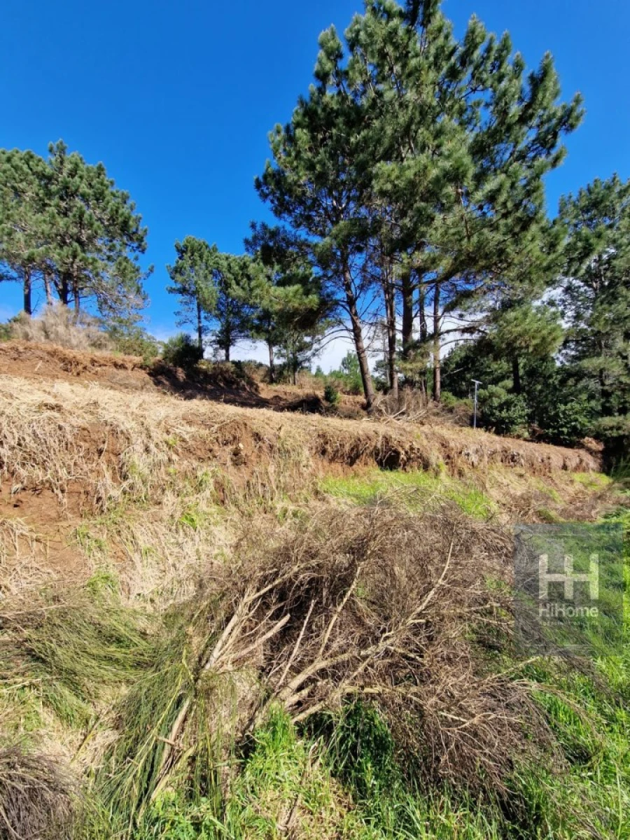 Terreno para Venda em Fajã da Ovelha Foto 24