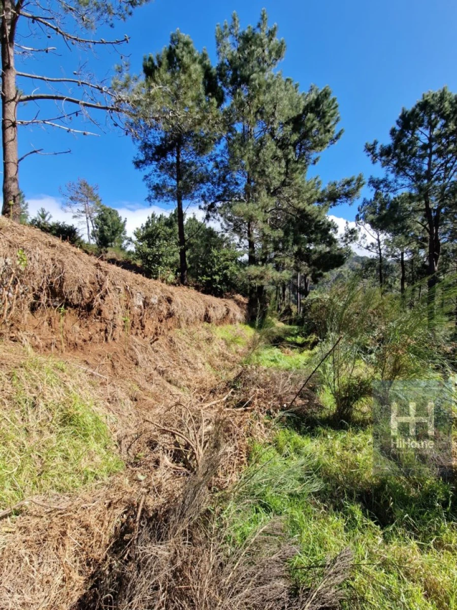 Terreno para Venda em Fajã da Ovelha Foto 27