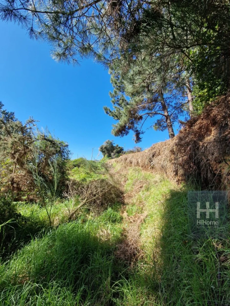 Terreno para Venda em Fajã da Ovelha Foto 28