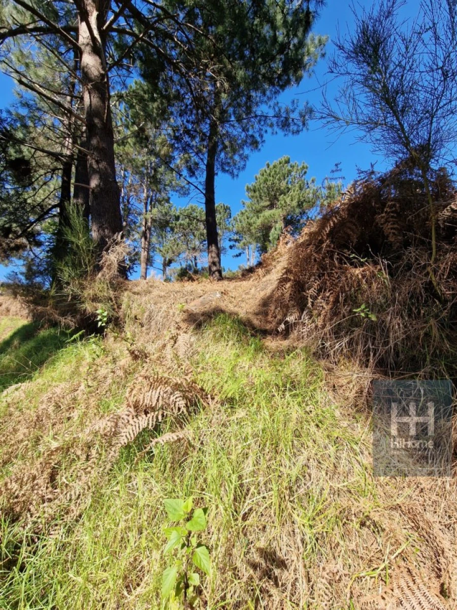 Terreno para Venda em Fajã da Ovelha Foto 30