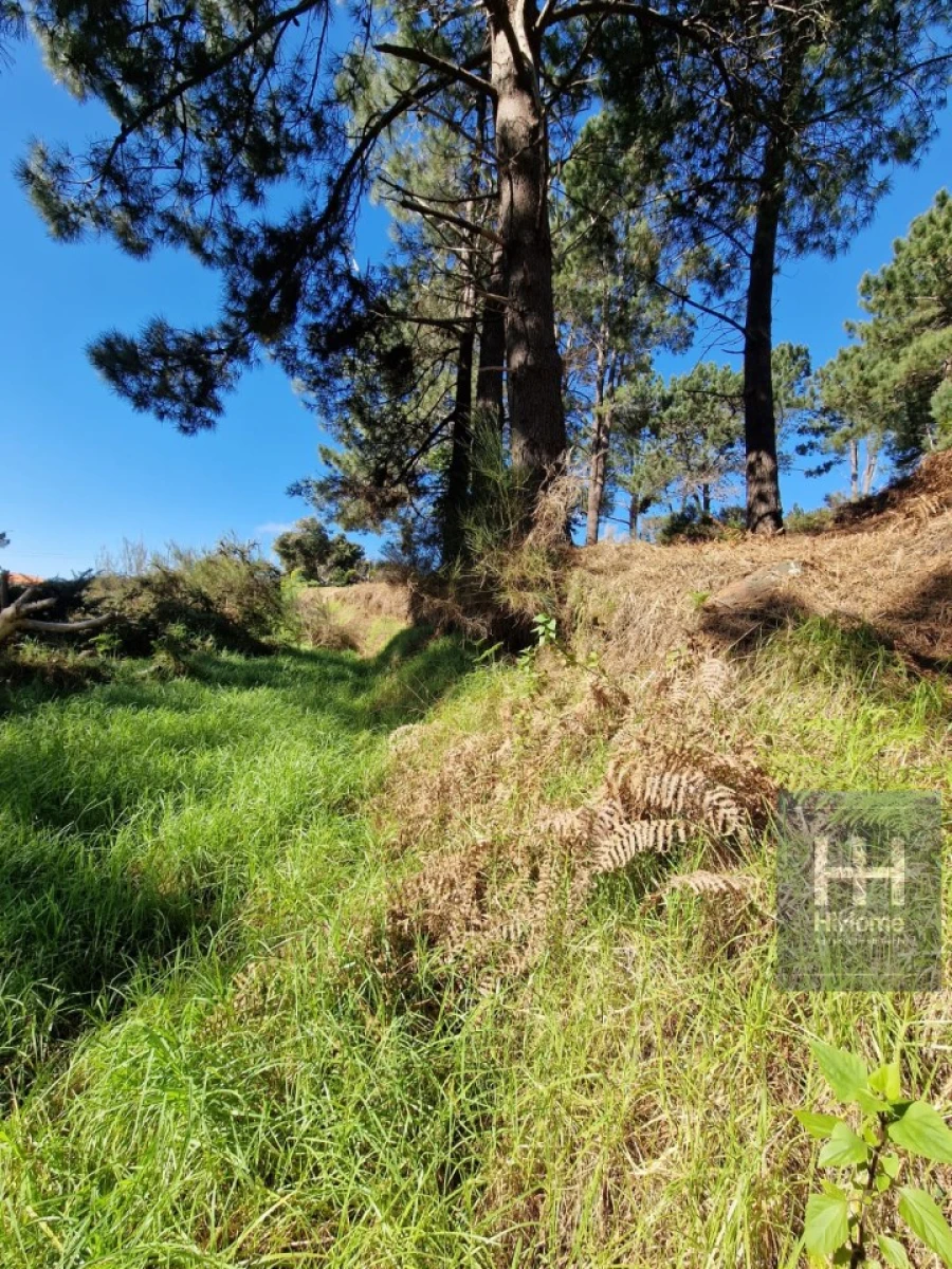 Terreno para Venda em Fajã da Ovelha Foto 31