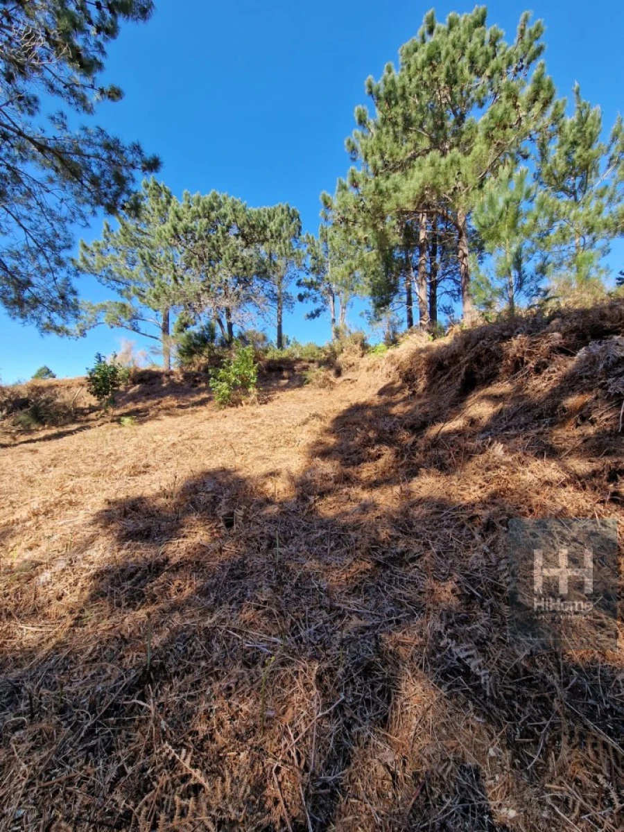 Terreno para Venda em Fajã da Ovelha Foto 18