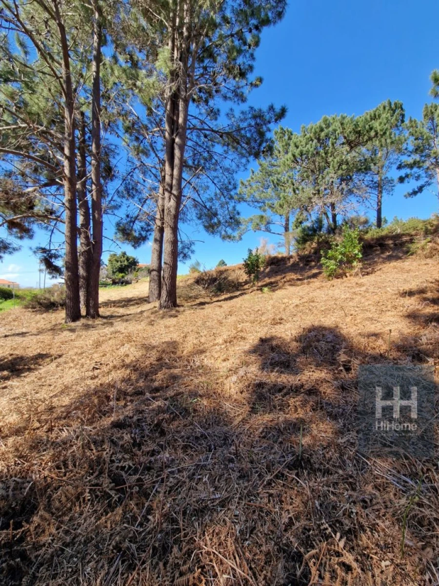 Terreno para Venda em Fajã da Ovelha Foto 35