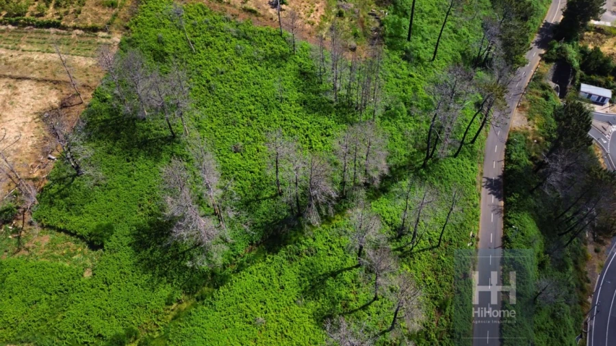 Terreno para Venda em Fajã da Ovelha Foto 6