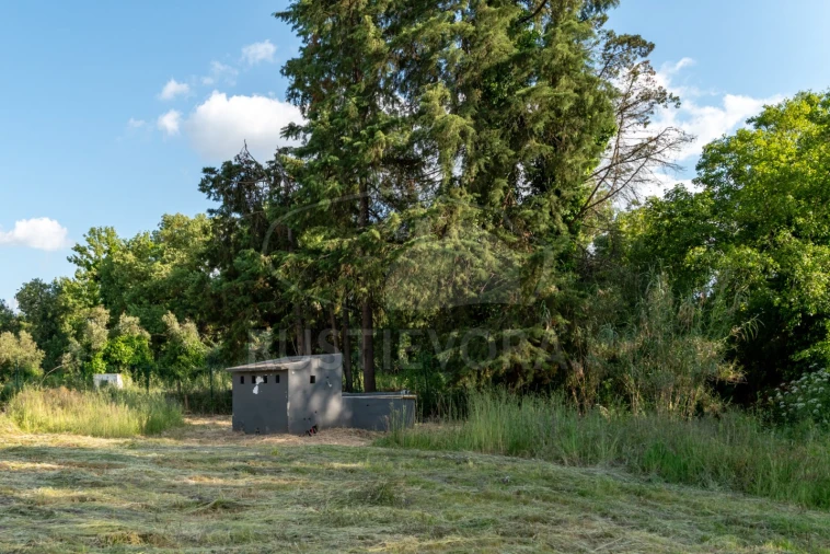 Quinta T6 para Venda em Nossa Senhora da Vila, Nossa Senhora do Bispo e Silveiras Foto 65