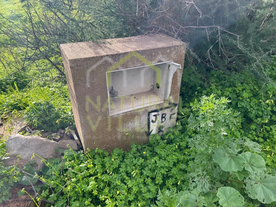 Terreno para Venda em Loule (São Sebastião) Foto 6