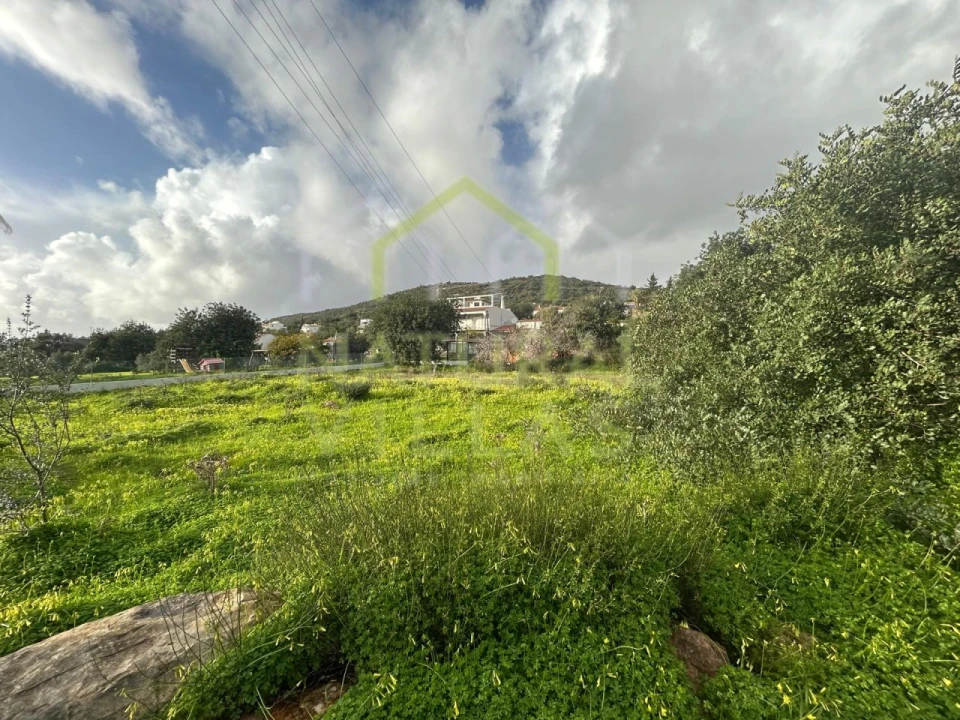 Terreno para Venda em Loule (São Sebastião) Foto 7