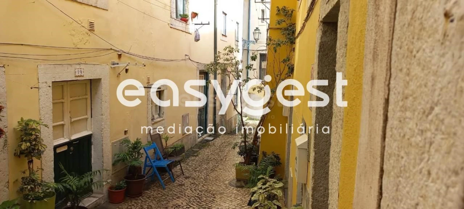 Prédio para Venda em Santa Maria Maior Foto 25