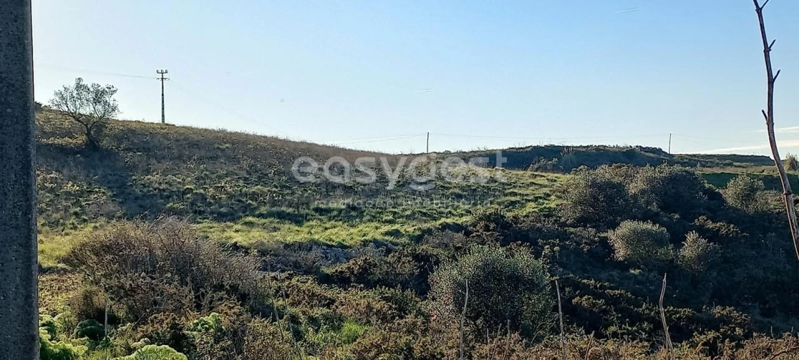 Terreno Agricola ou Rústico para Venda em Alhandra, São João dos Montes e Calhandriz Foto 7
