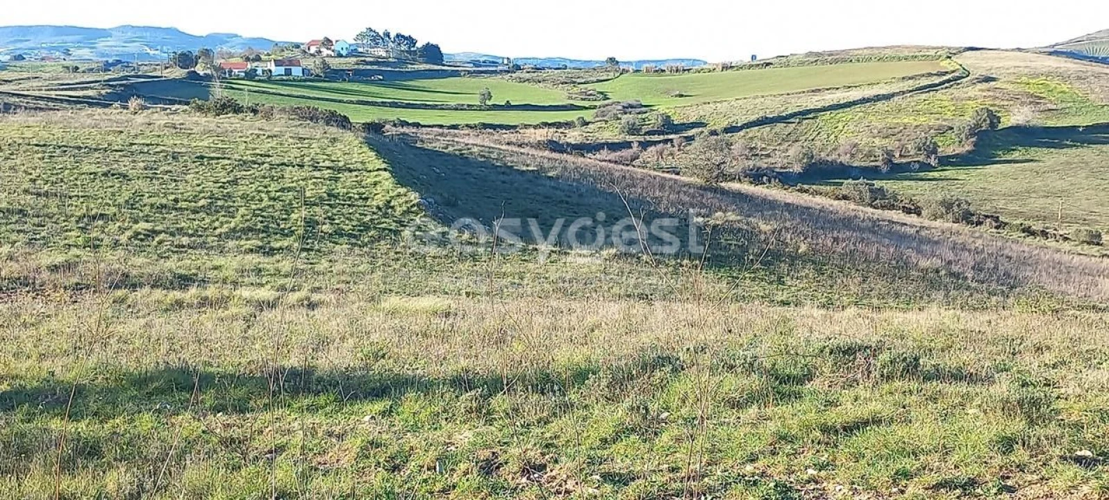 Terreno Agricola ou Rústico para Venda em Alhandra, São João dos Montes e Calhandriz Foto 11
