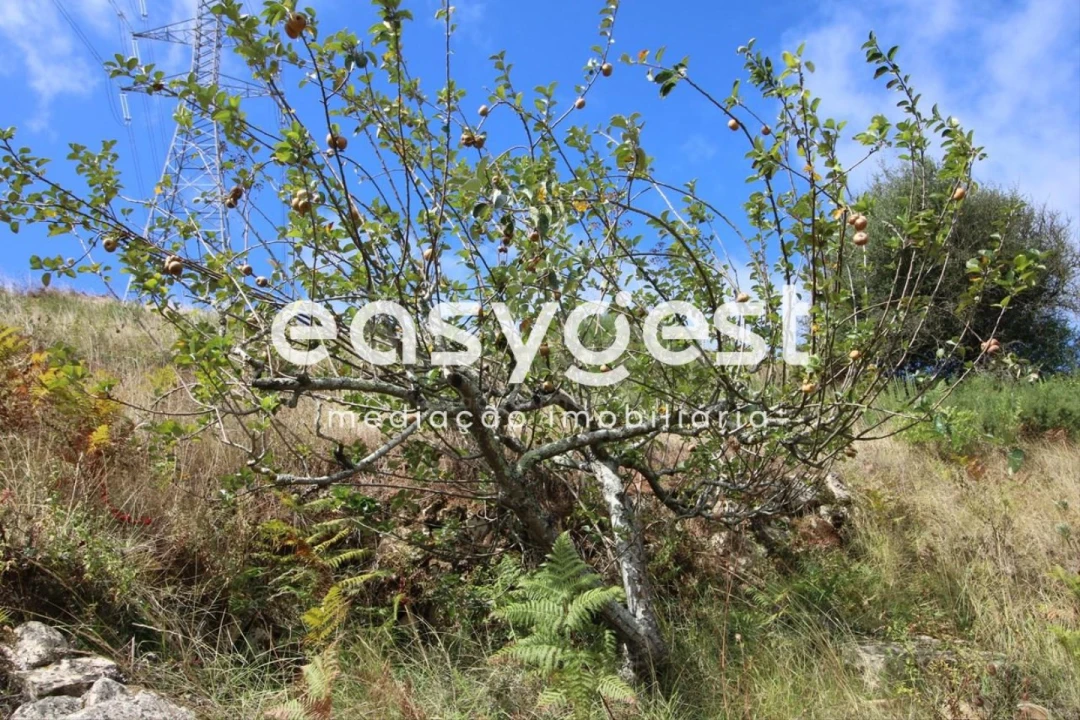 Terreno para Venda em Alhandra, São João dos Montes e Calhandriz Foto 24
