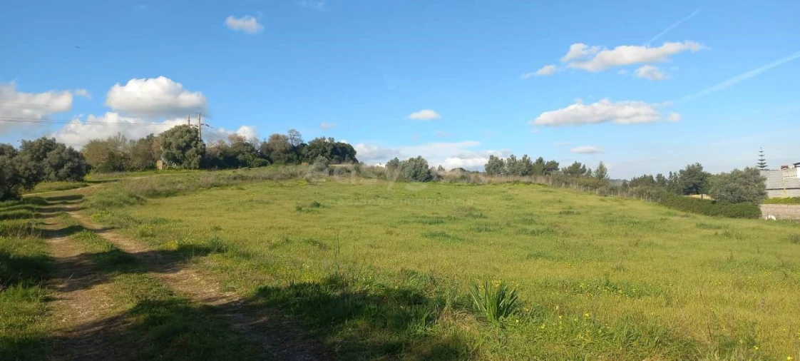 Terreno Agricola ou Rústico para Arrendamento em Alverca do Ribatejo e Sobralinho Foto 4