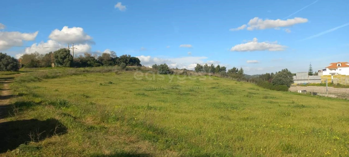 Terreno Agricola ou Rústico para Arrendamento em Alverca do Ribatejo e Sobralinho Foto 5