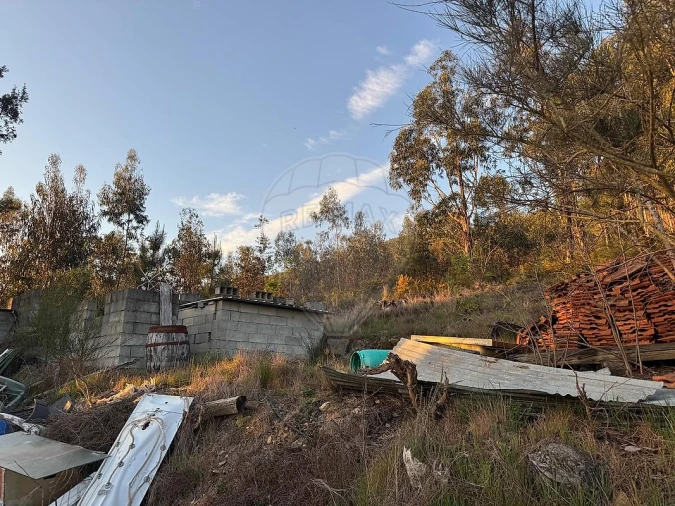 Terreno para Venda em Melres e Medas Foto 5