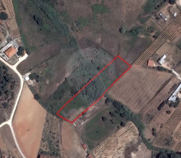 Terreno para Venda em Olhalvo Foto 3