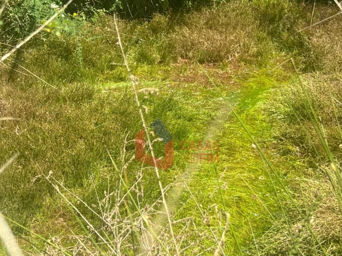 Quinta T3 para Venda em Atei Foto 26