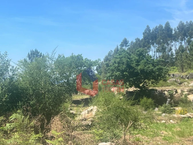 Quinta T3 para Venda em Atei Foto 27