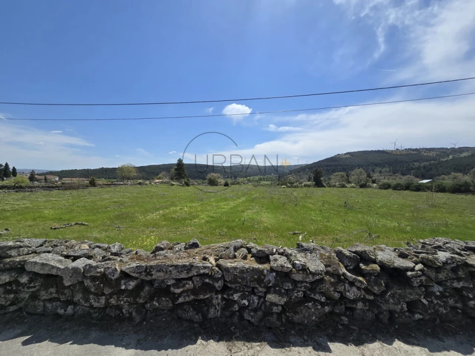 Terreno para Venda em Leomil Foto 2