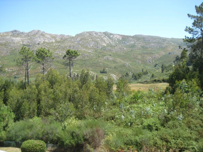 Apartamento T2 para Venda em Loivo Foto 26