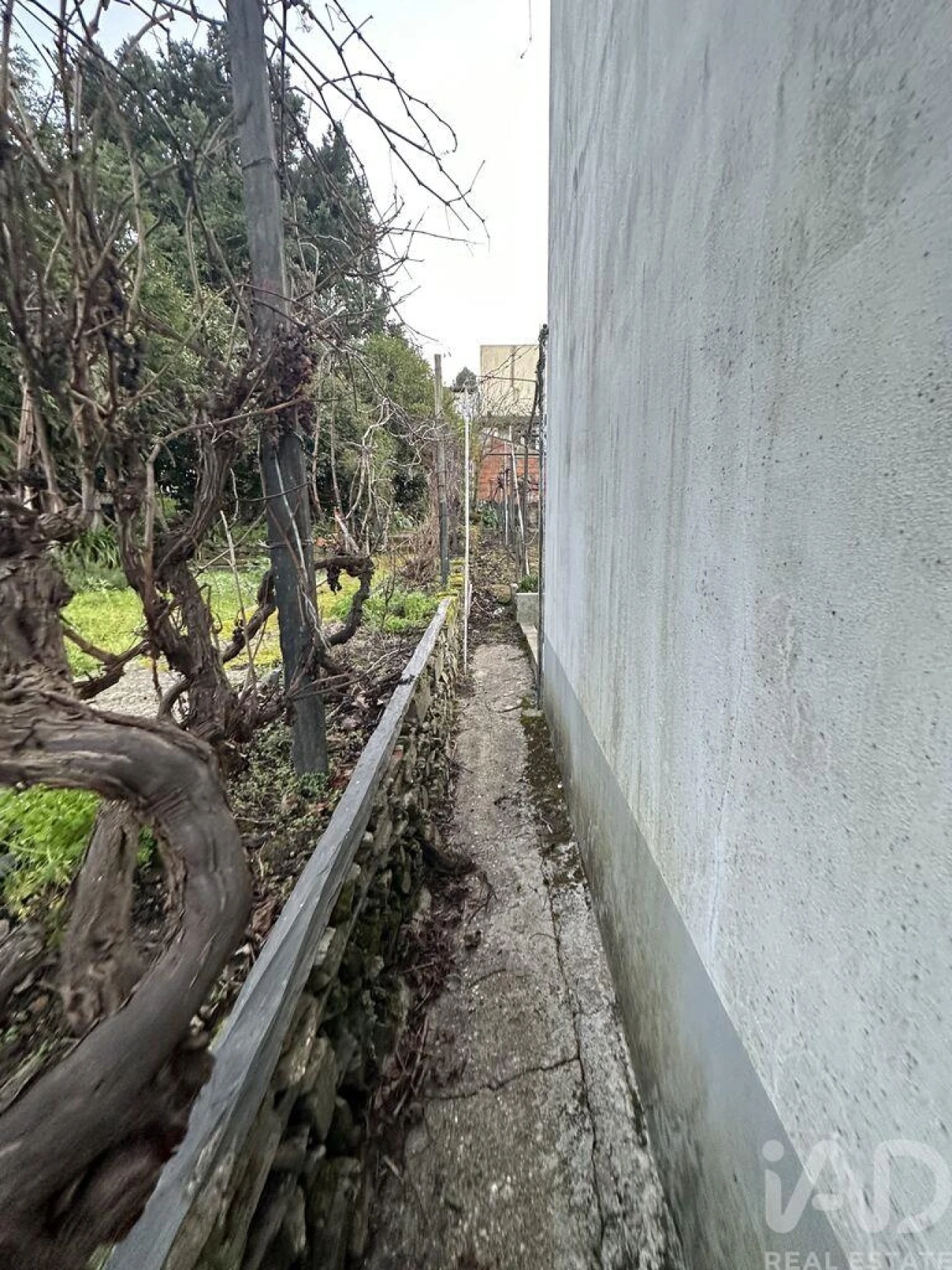 Moradia T4 para Venda em Lobrigos (São Miguel e São João Baptista) e Sanhoane Foto 18