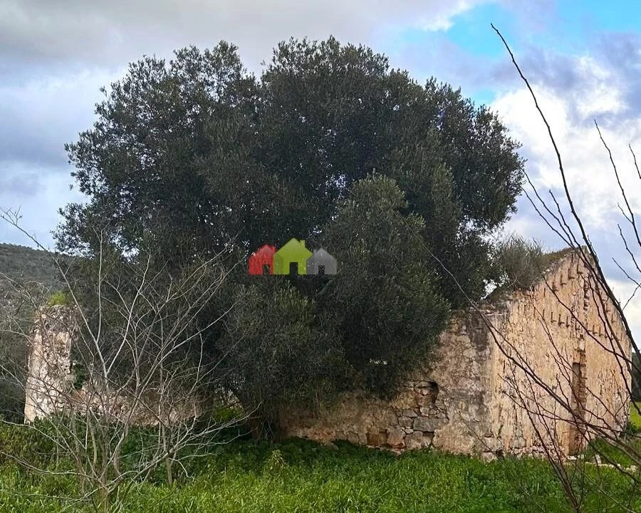 Quinta T5 para Venda em Querença, Tôr e Benafim Foto 21