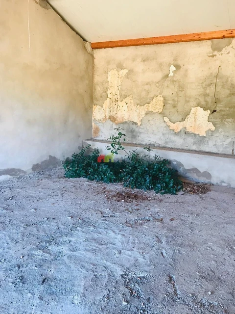 Quinta T5 para Venda em Querença, Tôr e Benafim